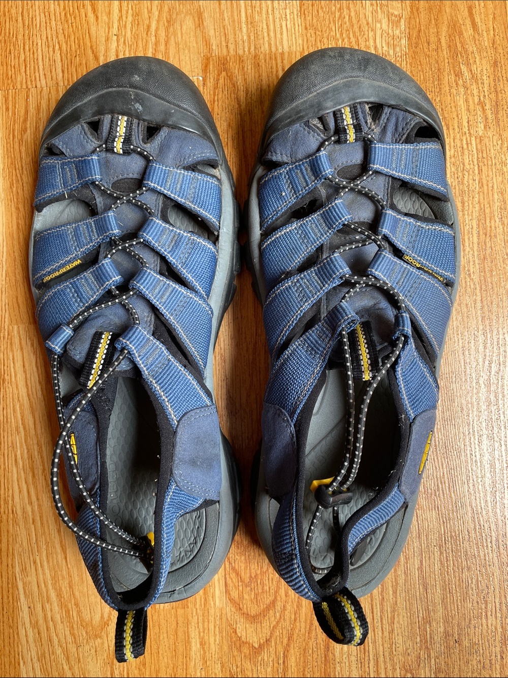 Keen Newport H2
